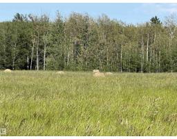 Se-12-49-8- W5m, Rural Brazeau County, AB T0E1Z0 Photo 6