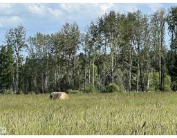 Se-12-49-8- W5m, Rural Brazeau County, AB T0E1Z0 Photo 14