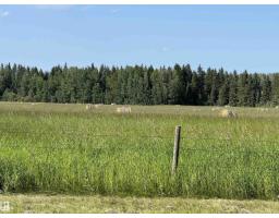 Se-12-49-8- W5m, Rural Brazeau County, AB T0E1Z0 Photo 16