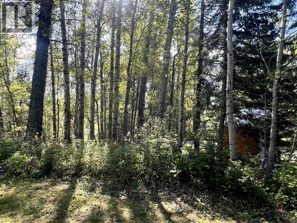 14530 Township Road 542, Rural Yellowhead County — photo 5