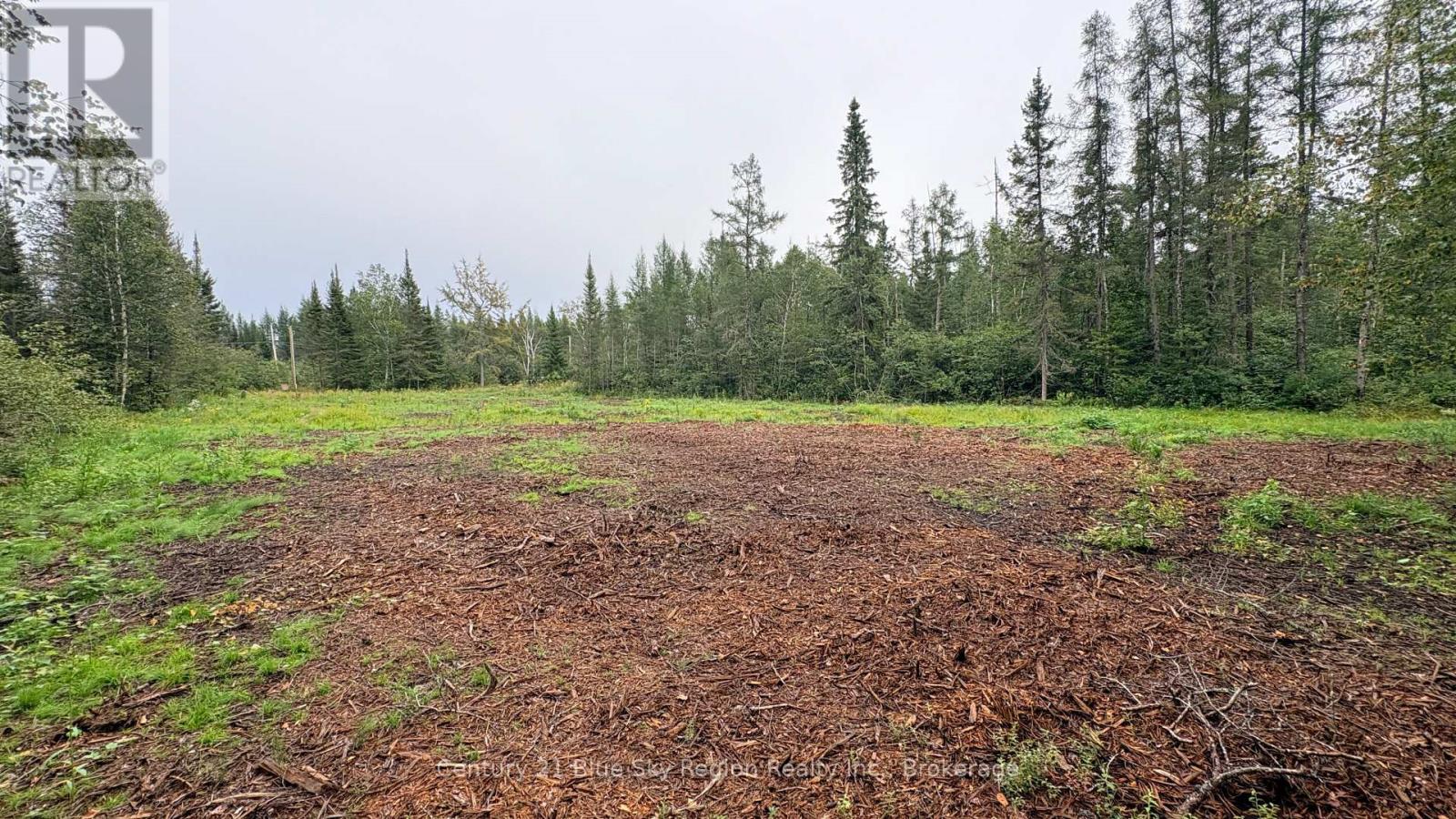 37 RIDING STABLE ROAD N, West Nipissing (Sturgeon Falls) — photo 9