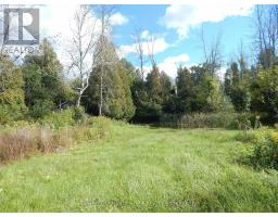 5181 County Road 15 (avonmore Rd) Road, South Stormont, ON K0C1R0 Photo 46