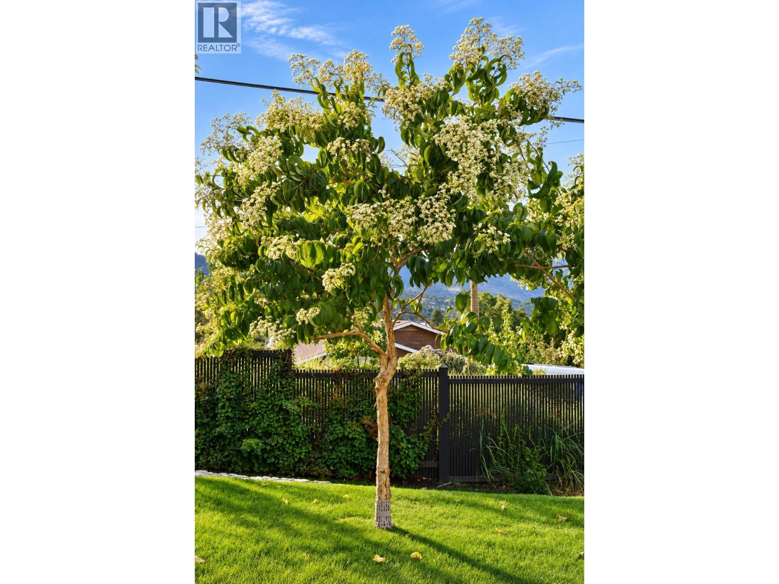 319 Carmel Crescent, Okanagan Falls