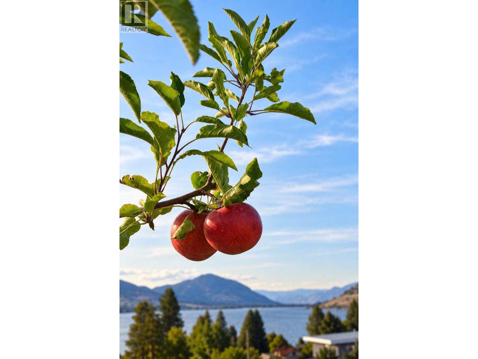319 Carmel Crescent, Okanagan Falls