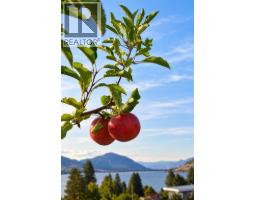 319 Carmel Crescent, Okanagan Falls, BC V2A1R5 Photo 42