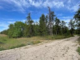 0 Pr203 Road, Woodridge, MB R0A2N0 Photo 6