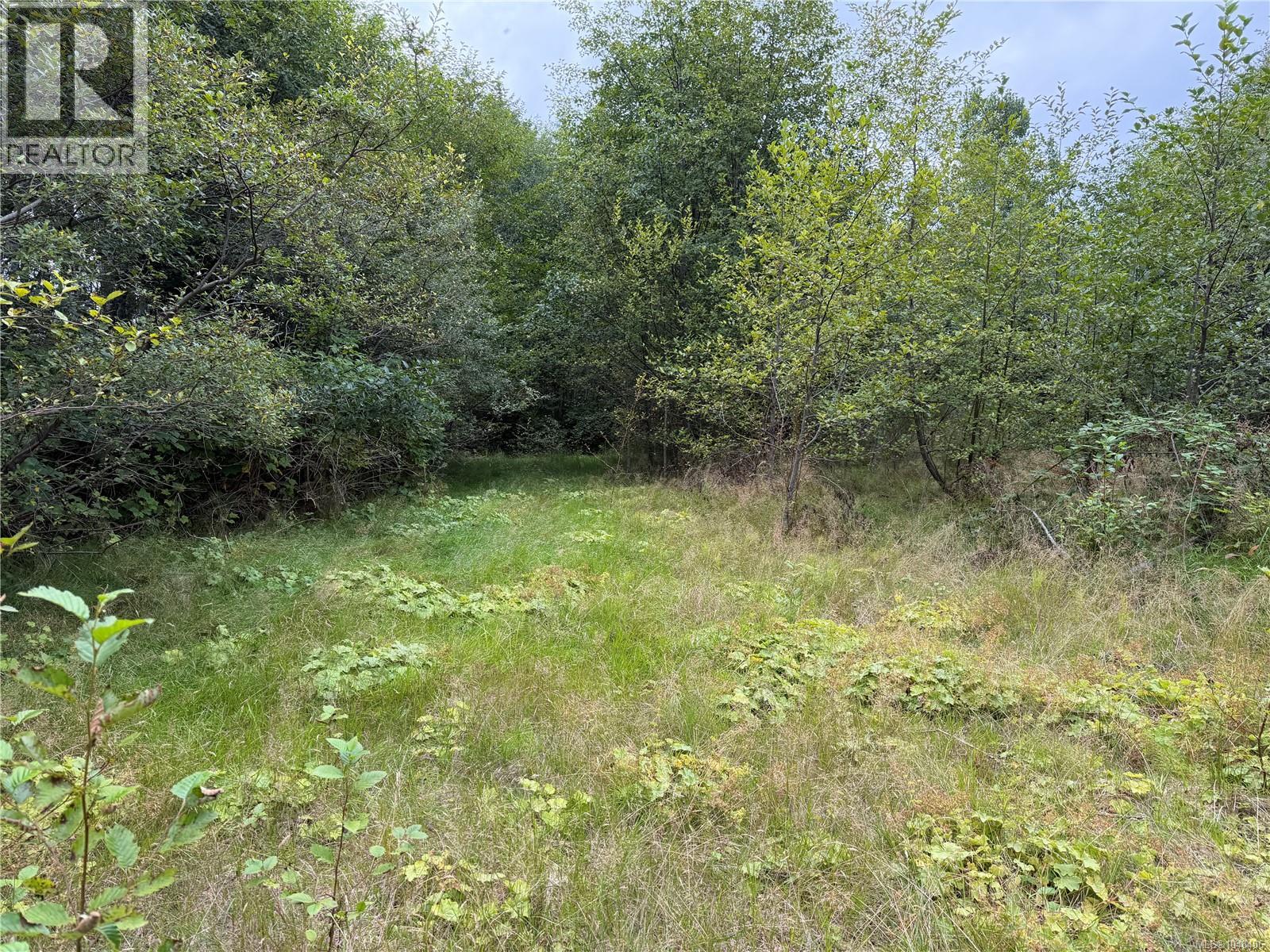 1841 Mine Rd, Port McNeill — photo 8