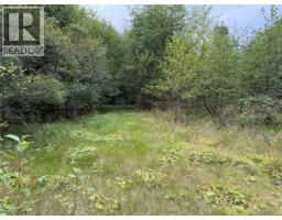 1841 Mine Rd, Port Mcneill, BC V0N2R0 Photo 8
