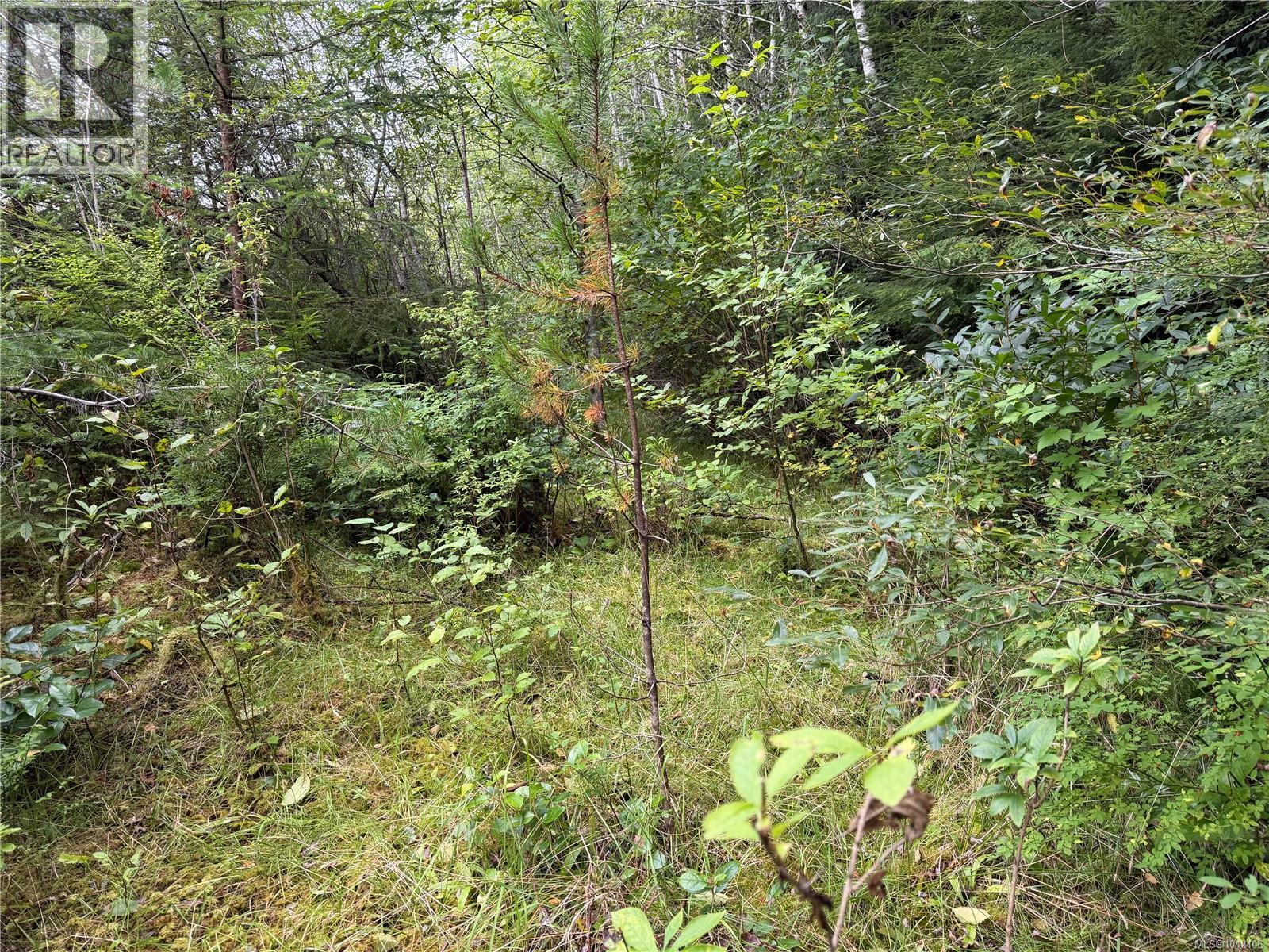 1841 Mine Rd, Port McNeill — photo 9