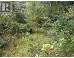 1841 Mine Rd, Port Mcneill, BC V0N2R0 Photo 9