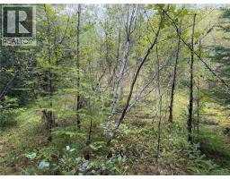 1841 Mine Rd, Port Mcneill, BC V0N2R0 Photo 10