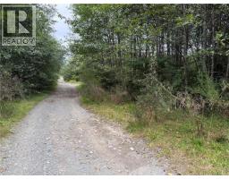 1841 Mine Rd, Port Mcneill, BC V0N2R0 Photo 6