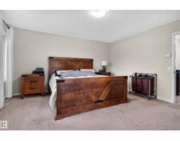 20853 92a Av Nw, Edmonton, AB T5T3Z1 Photo 26