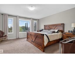 20853 92a Av Nw, Edmonton, AB T5T3Z1 Photo 25