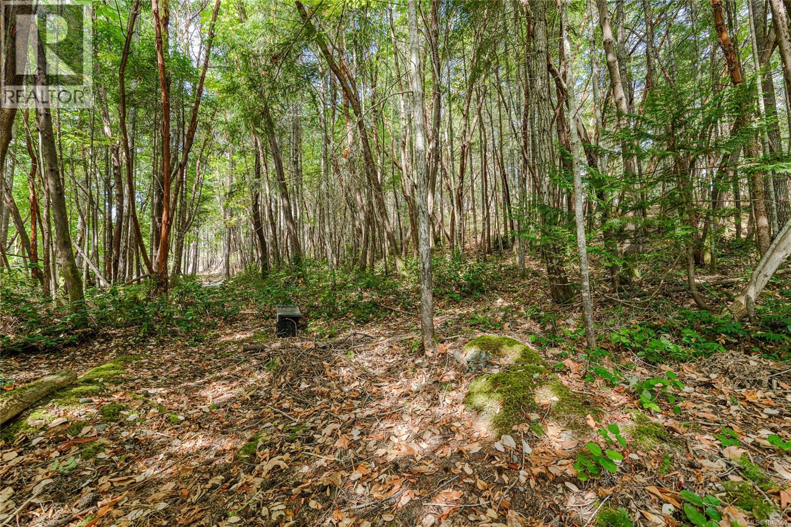 154 High Hill Rd - Image 56