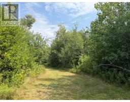 9118 Highway 366, Linden, NS B0K1K0 Photo 41