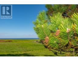 9735 Highway 1, Lower Saulnierville, NS B0W2Z0 Photo 42