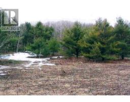 14600 Jane Street, King, ON L7B1A3 Photo 7