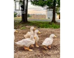 4485 Route 102, Queenstown, NB E5M1Z5 Photo 26
