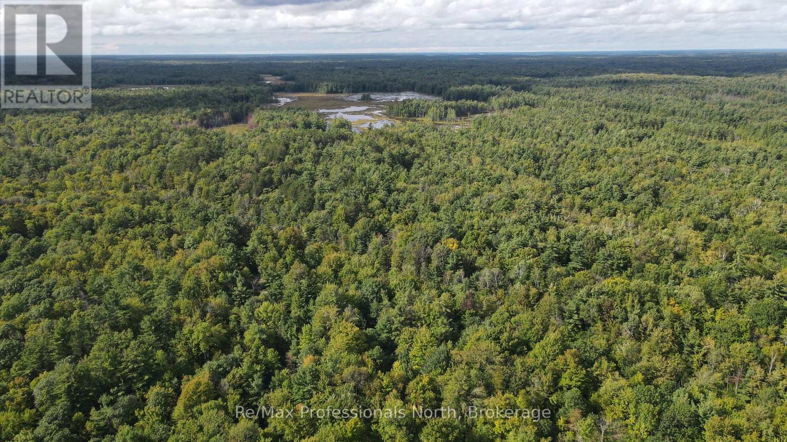 1268 MOON RIVER ROAD, Muskoka Lakes (Medora) — photo 4