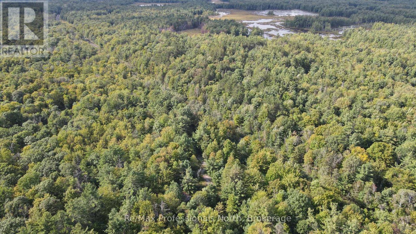 1268 MOON RIVER ROAD, Muskoka Lakes (Medora) — photo 9