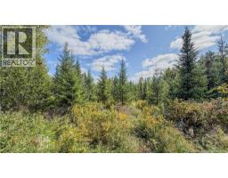 Lot Route 895, Colpitts Settlement, NB E4J1C1 Photo 23