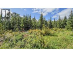 Lot Route 895, Colpitts Settlement, NB E4J1C1 Photo 25