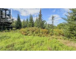 Lot Route 895, Colpitts Settlement, NB E4J1C1 Photo 28