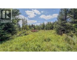 Lot Route 895, Colpitts Settlement, NB E4J1C1 Photo 29