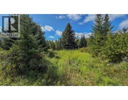 Lot Route 895, Colpitts Settlement, NB E4J1C1 Photo 31