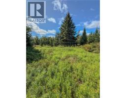 Lot Route 895, Colpitts Settlement, NB E4J1C1 Photo 32