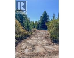 Lot Route 895, Colpitts Settlement, NB E4J1C1 Photo 33