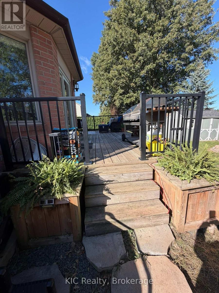23 MAPLE AVENUE - Image 22