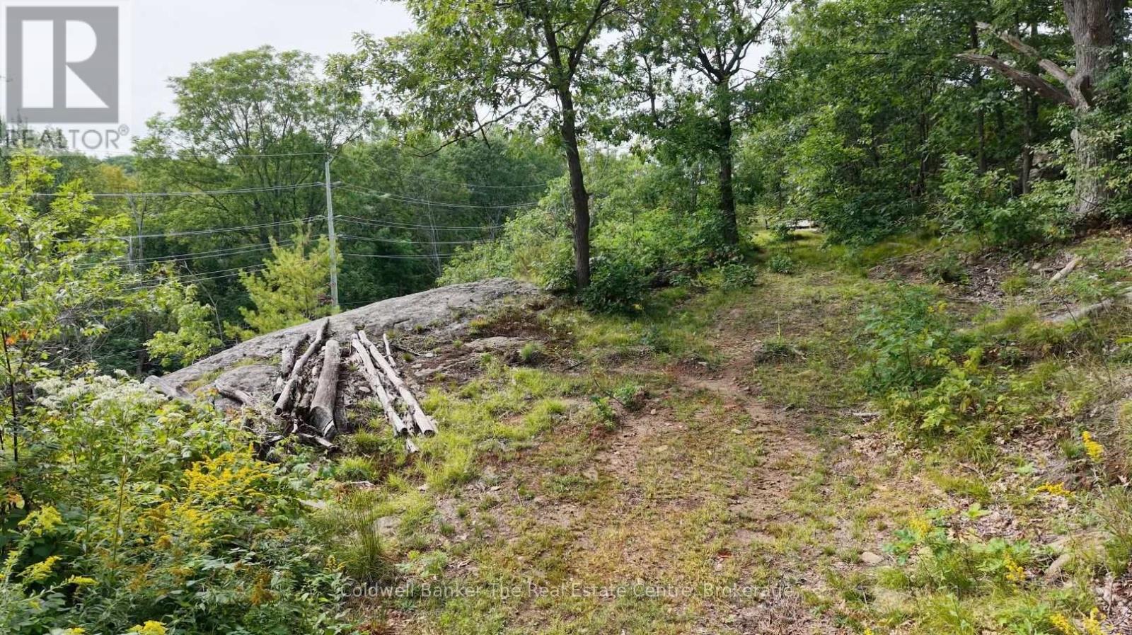 250 WANDA MILLER ROAD - Image 39