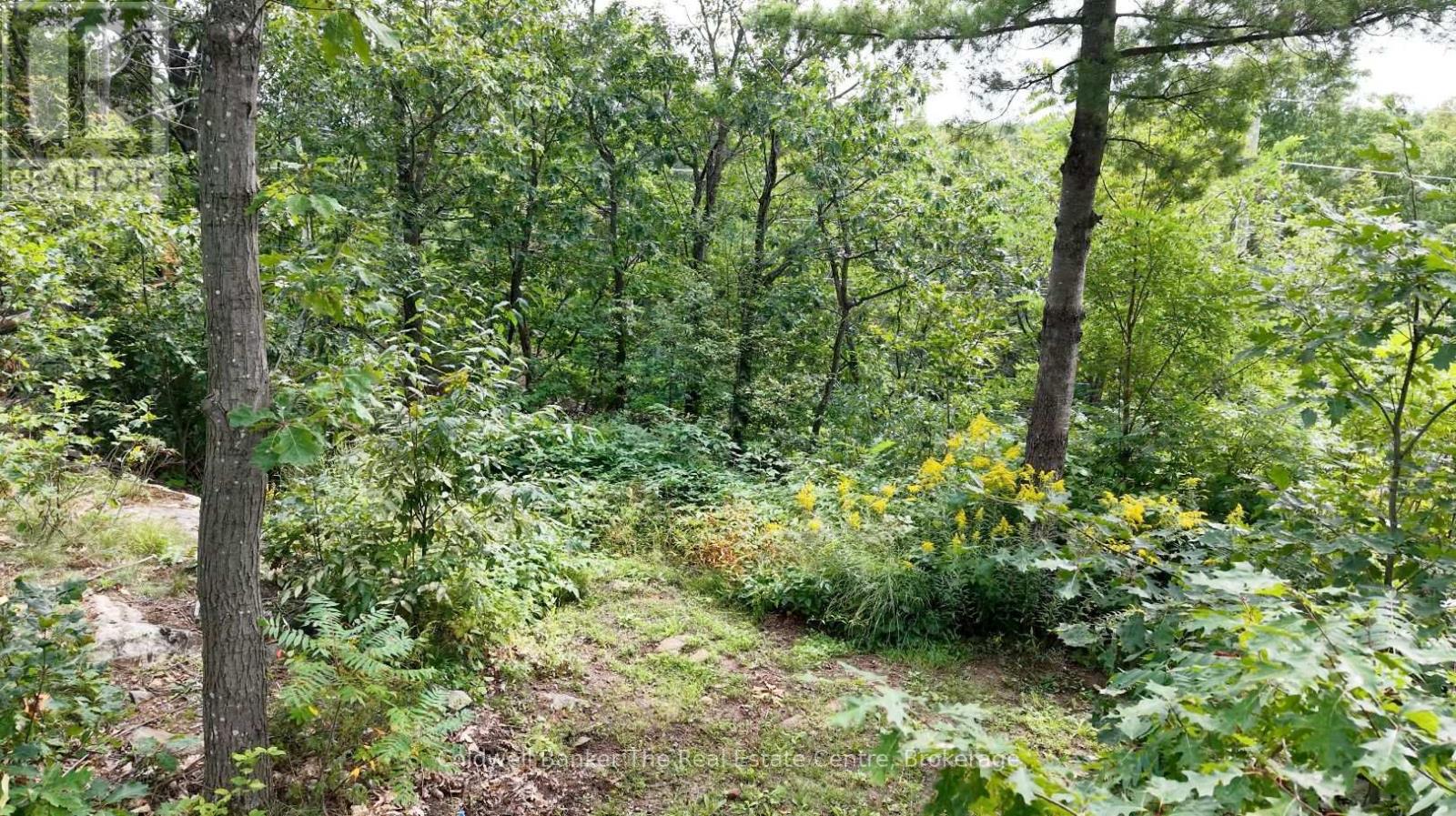 250 WANDA MILLER ROAD - 44