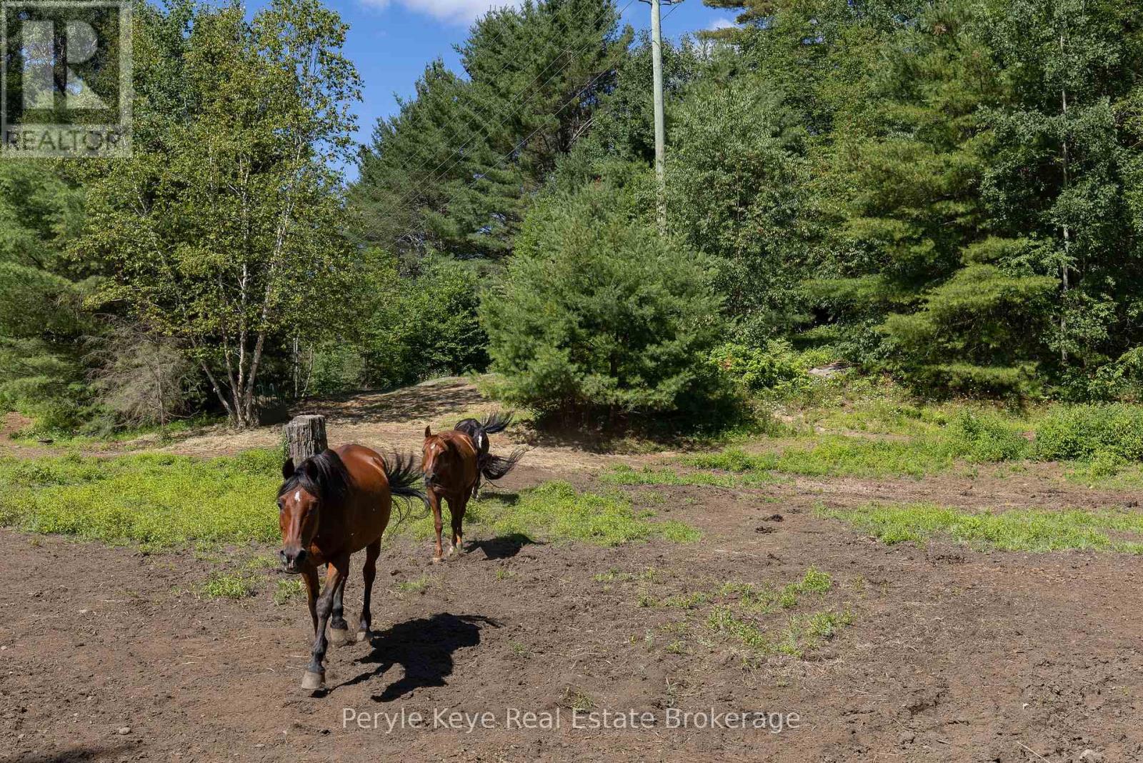 2322 OLD MUSKOKA ROAD, Huntsville (Stephenson) — photo 4