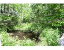 391 Princedale Branch Road, Virginia East, NS B0S1G0 Photo 9