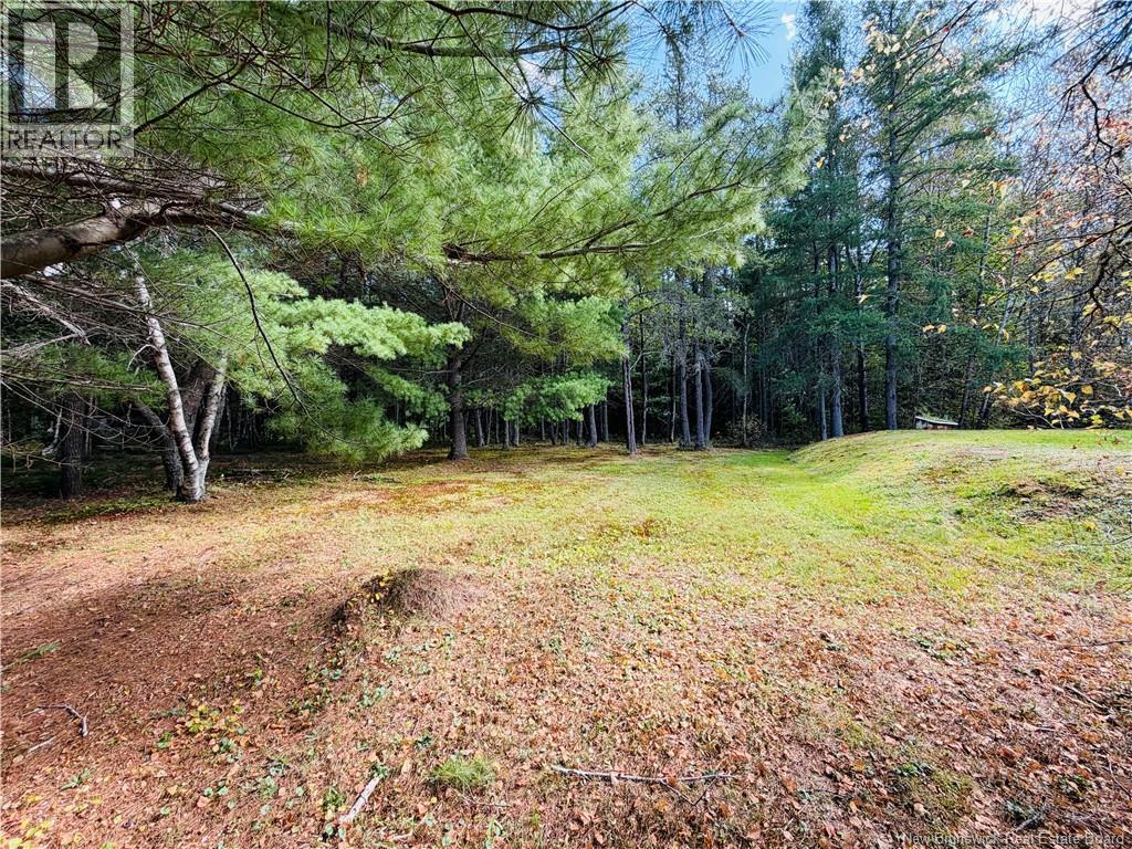 21 Little Branch Road - 25