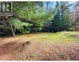 21 Little Branch Road, Black River Bridge, NB E1N5N4 Photo 25