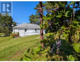 1372 Highway 201, Round Hill, NS B0S1A0 Photo 6
