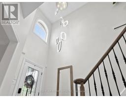 161 Austin Paul Drive N, Newmarket, ON L3X2K6 Photo 19