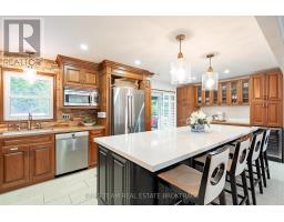 Laundry room - 7697 County Road 56, Essa, ON L0M1T0 Photo 9