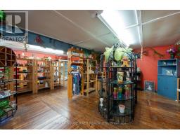 6099 Curtis Point Road, Alnwick/haldimand, ON K0K2X0 Photo 16