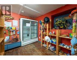 6099 Curtis Point Road, Alnwick/haldimand, ON K0K2X0 Photo 29