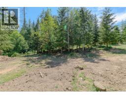 1890 Sooke Lake (off) Rd, Shawnigan Lake, BC V8H2C2 Photo 67