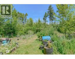 1890 Sooke Lake (off) Rd, Shawnigan Lake, BC V8H2C2 Photo 80