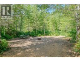 1890 Sooke Lake (off) Rd, Shawnigan Lake, BC V8H2C2 Photo 89