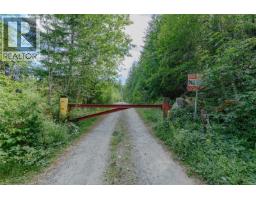 1890 Sooke Lake (off) Rd, Shawnigan Lake, BC V8H2C2 Photo 97