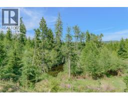 1890 Sooke Lake (off) Rd, Shawnigan Lake, BC V8H2C2 Photo 60