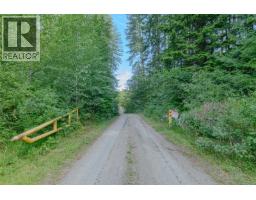 1890 Sooke Lake (off) Rd, Shawnigan Lake, BC V8H2C2 Photo 96